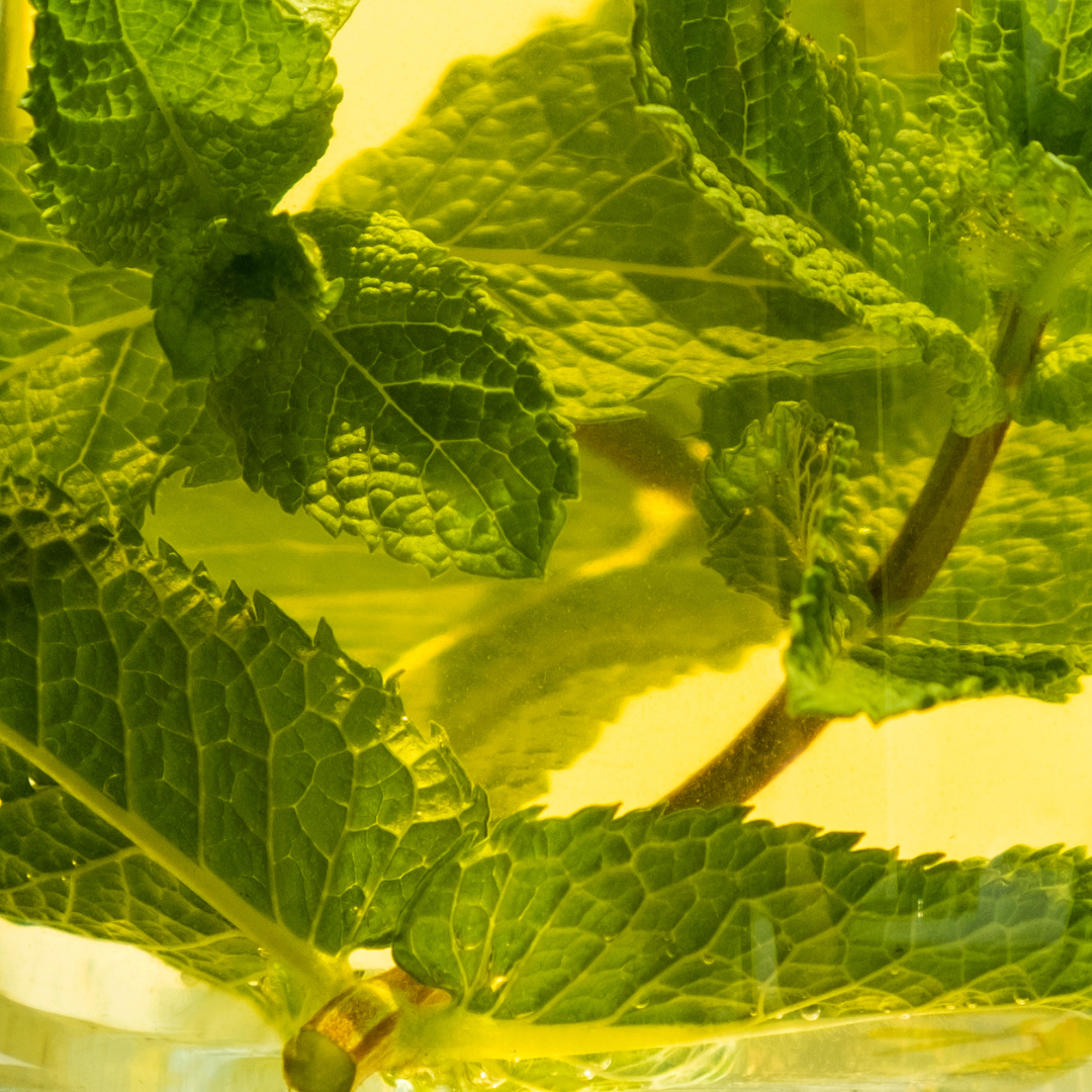 Ice Tea à la menthe